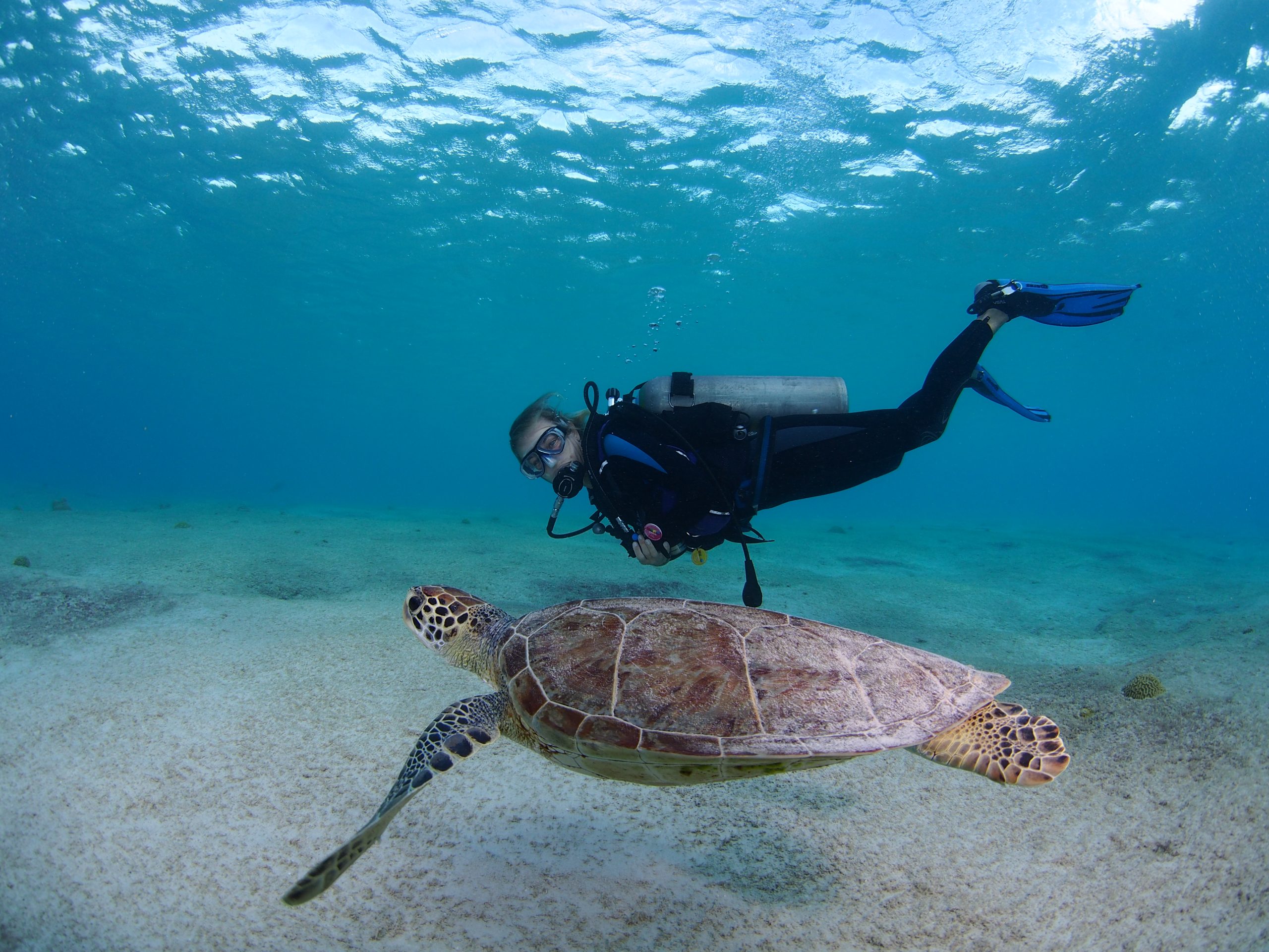 Conservation Biology