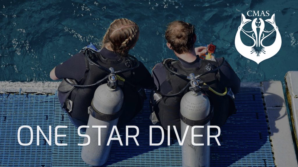 ONE STAR DIVER