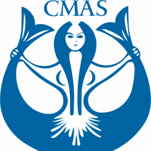Profile photo of Administrador CMAS