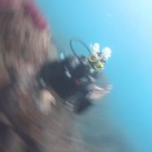 Foto de perfil de André Dias