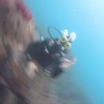 Foto de perfil de André Dias