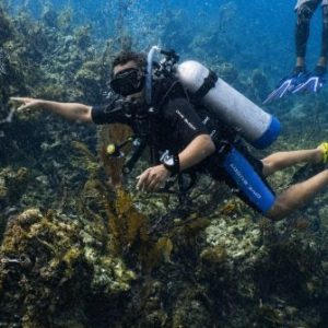 Profile photo of Pedro Alexandrino Silva Ferreira Martins Monteiro