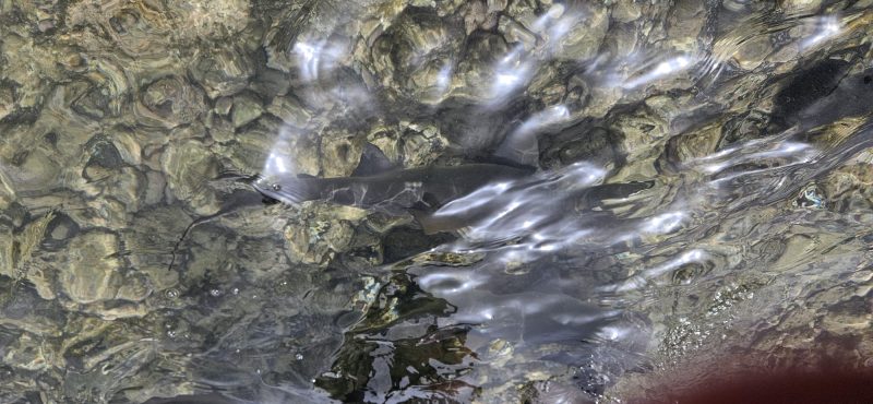 Imagem WhatsApp 2025-10-13 às 12.37.30_9cb19cfa