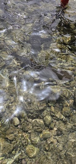 Imagem WhatsApp 2025-10-13 às 12.37.29_32206040